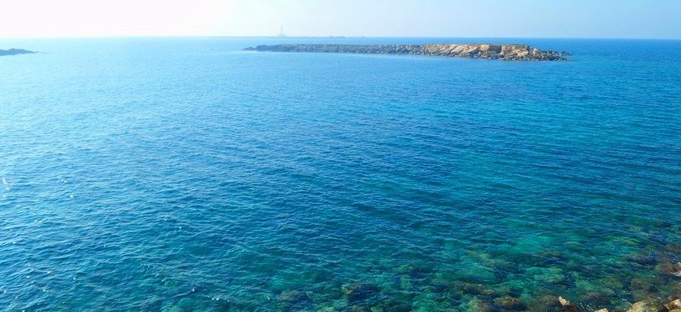 Mare